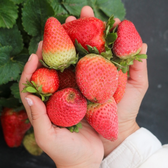 Meet your Posher, Gabby - Picture 1 of 1